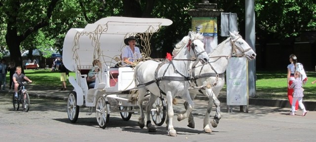 Lviv Horse Carriage