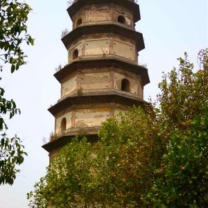 25.-Ancient-Pagoda-with-Trees-John Doan
