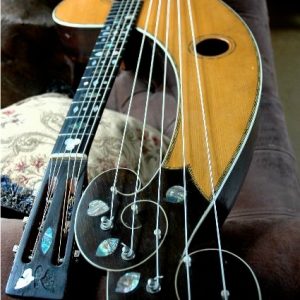 dyer-harp-guitar-2