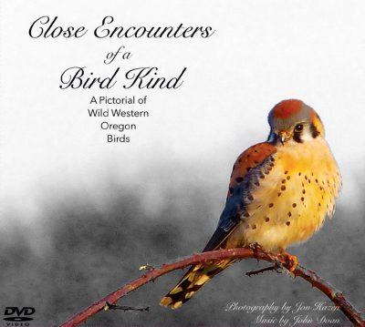 Album cover for Close Encounters of a Bird Kind DVD video.