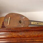 Lute guitar