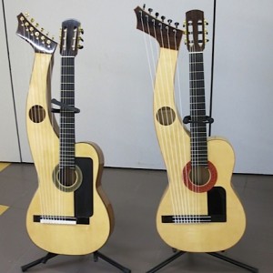 27.Sean Woolley harp guitars