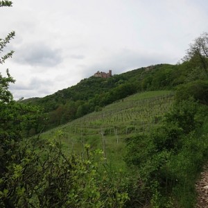 39.Castle on hill