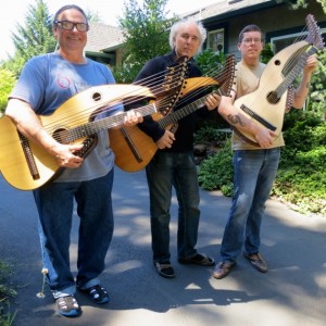 Harp Guitar Retreat 2013 3 harp guitarists