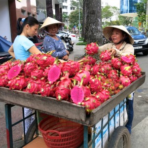 72. Dragon Fruit for Sale