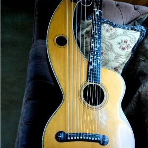 dyer-harp-guitar-3