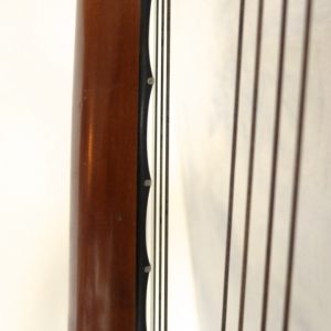 Goltz Lute Guitar 15