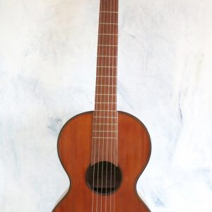 Guitar Stauffer 1