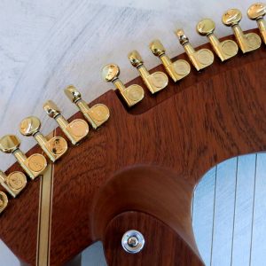 harp-guitar-ukraine-10