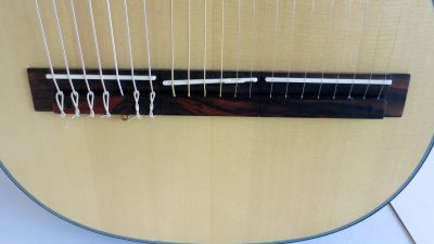 harp-guitar-ukraine-3