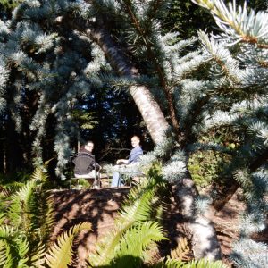 8. John Doan's Harp Guitar Retreat Gerry and Steve Breakaway