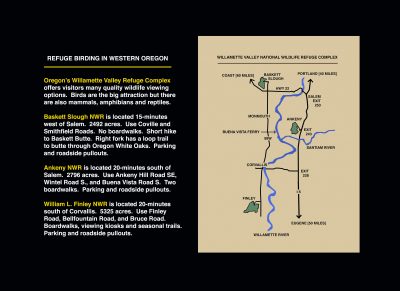 Map of the bird watching area.